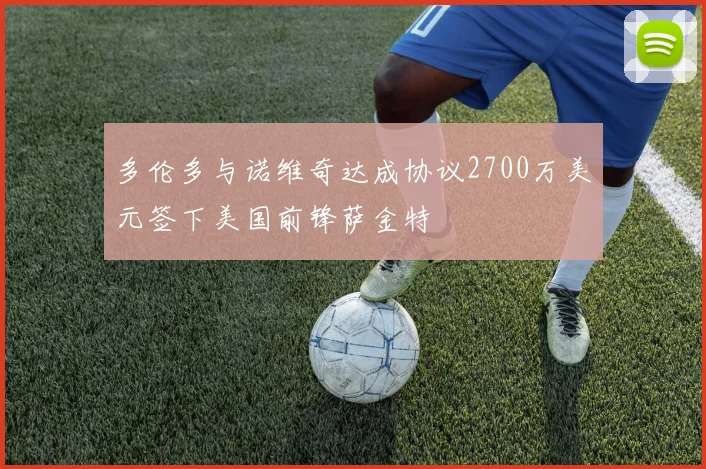 多伦多与诺维奇达成协议2700万美元签下美国前锋萨金特