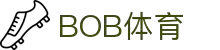 BOB体育-唯一官方平台